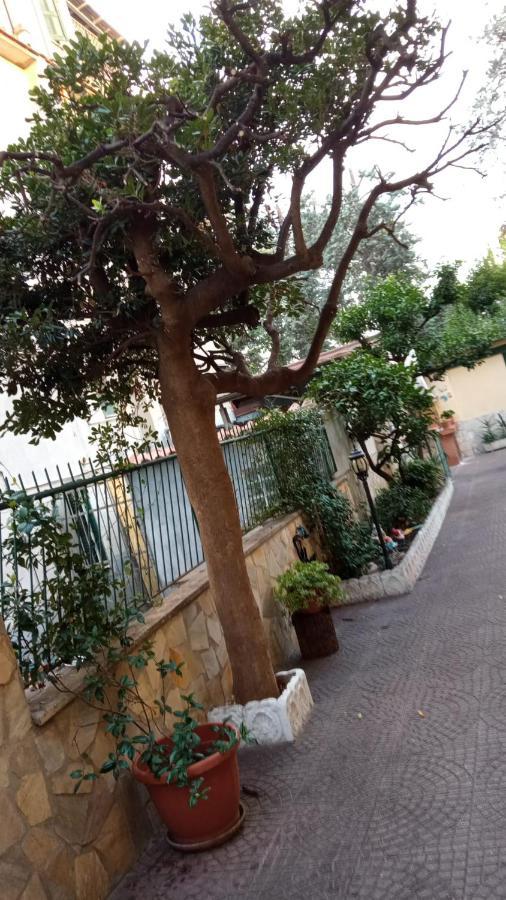 Ferienwohnung Casa Diana Rom Exterior foto